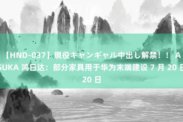 【HND-037】現役キャンギャル中出し解禁！！ ASUKA 鸿日达：部分家具用于华为末端建设 7 月 20 日