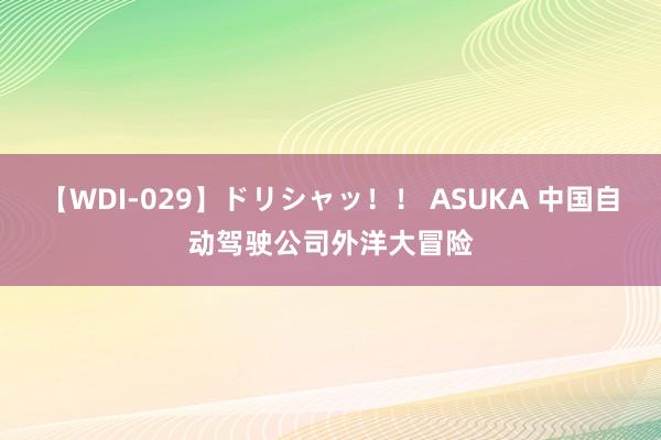 【WDI-029】ドリシャッ！！ ASUKA 中国自动驾驶公司外洋大冒险