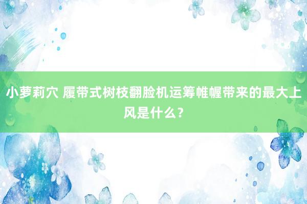 小萝莉穴 履带式树枝翻脸机运筹帷幄带来的最大上风是什么？