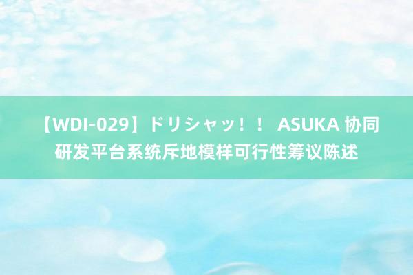 【WDI-029】ドリシャッ！！ ASUKA 协同研发平台系统斥地模样可行性筹议陈述