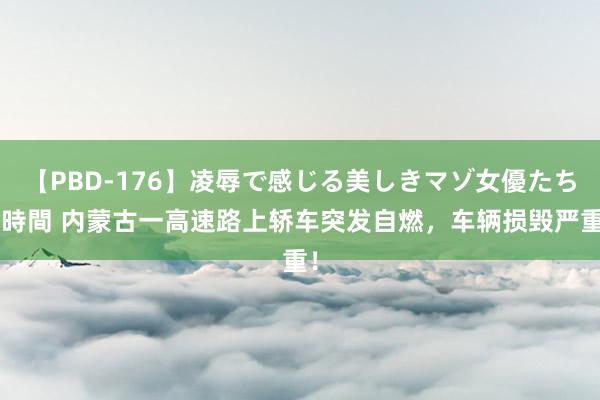 【PBD-176】凌辱で感じる美しきマゾ女優たち8時間 内蒙古一高速路上轿车突发自燃，车辆损毁严重！