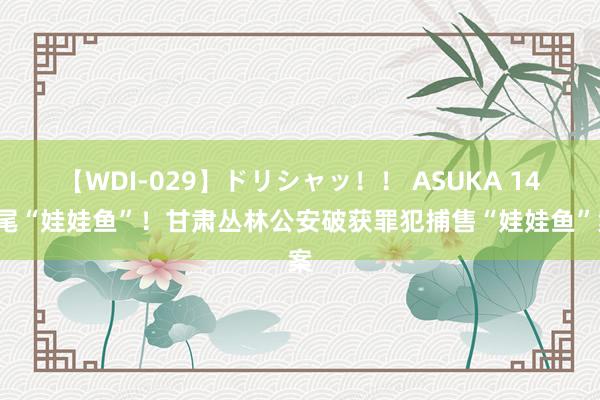 【WDI-029】ドリシャッ！！ ASUKA 147尾“娃娃鱼”！甘肃丛林公安破获罪犯捕售“娃娃鱼”案