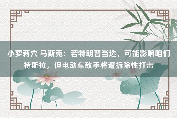 小萝莉穴 马斯克：若特朗普当选，可能影响咱们特斯拉，但电动车敌手将遭拆除性打击