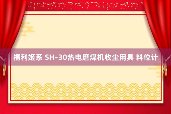 福利姬系 SH-30热电磨煤机收尘用具 料位计