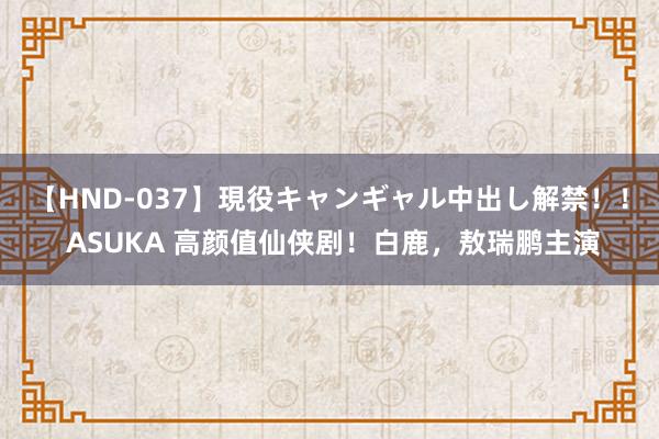 【HND-037】現役キャンギャル中出し解禁！！ ASUKA 高颜值仙侠剧！白鹿，敖瑞鹏主演