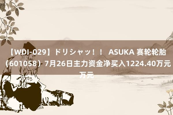 【WDI-029】ドリシャッ！！ ASUKA 赛轮轮胎（601058）7月26日主力资金净买入1224.40万元