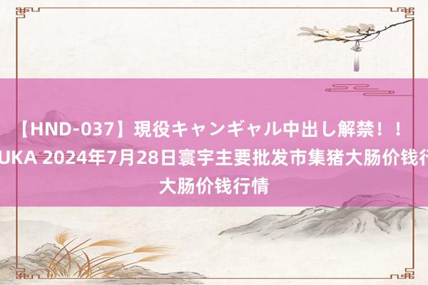 【HND-037】現役キャンギャル中出し解禁！！ ASUKA 2024年7月28日寰宇主要批发市集猪大肠价钱行情