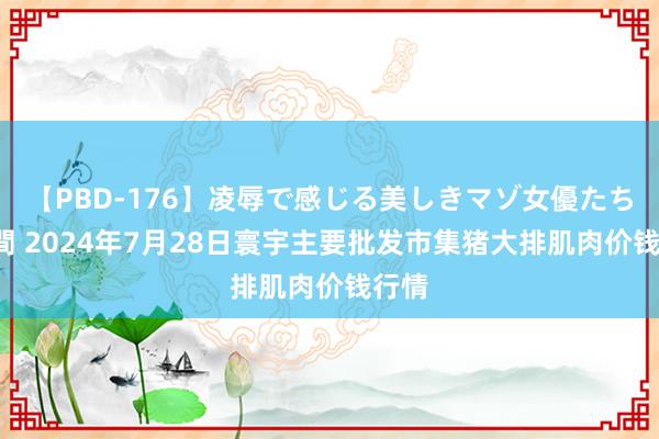 【PBD-176】凌辱で感じる美しきマゾ女優たち8時間 2024年7月28日寰宇主要批发市集猪大排肌肉价钱行情