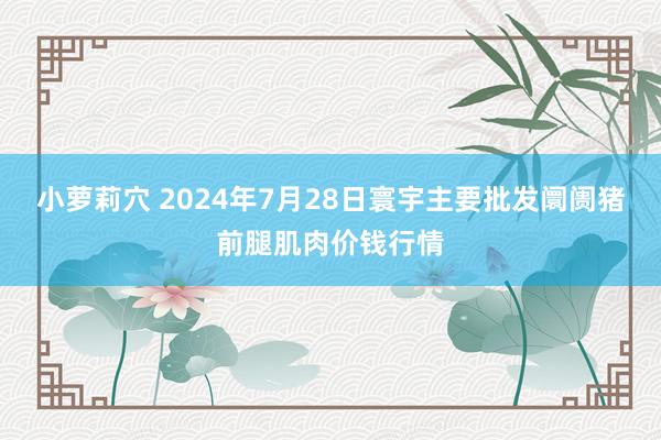 小萝莉穴 2024年7月28日寰宇主要批发阛阓猪前腿肌肉价钱行情