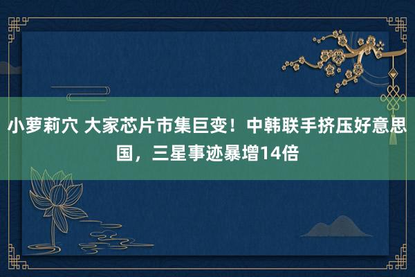 小萝莉穴 大家芯片市集巨变！中韩联手挤压好意思国，三星事迹暴增14倍