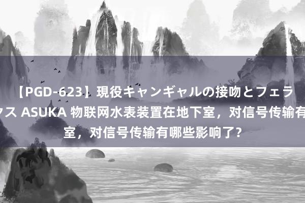 【PGD-623】現役キャンギャルの接吻とフェラチオとセックス ASUKA 物联网水表装置在地下室，对信号传输有哪些影响了？