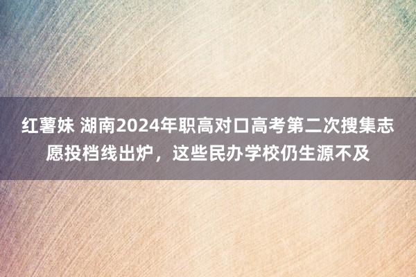 红薯妹 湖南2024年职高对口高考第二次搜集志愿投档线出炉，这些民办学校仍生源不及