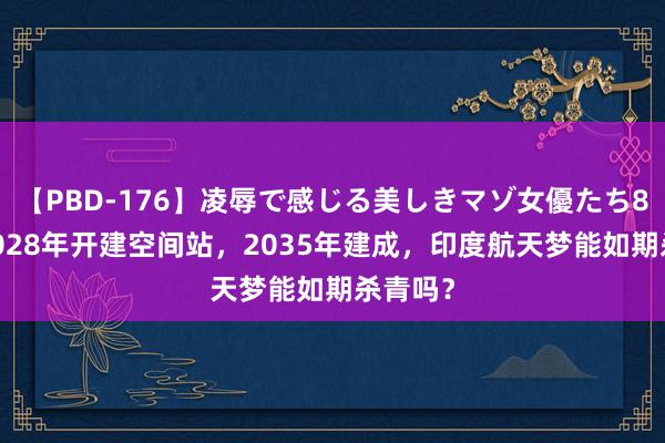 【PBD-176】凌辱で感じる美しきマゾ女優たち8時間 2028年开建空间站，2035年建成，印度航