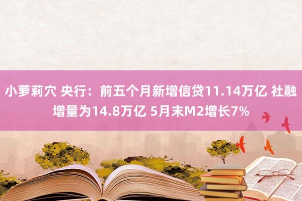 小萝莉穴 央行：前五个月新增信贷11.14万亿 社融增量为14.8万亿 5月末M2增长7%