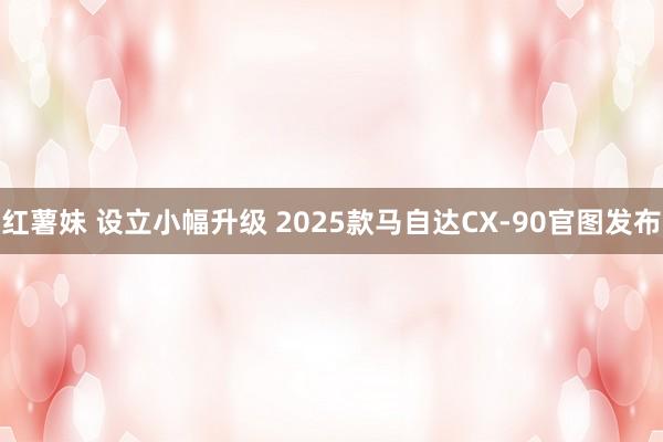 红薯妹 设立小幅升级 2025款马自达CX-90官图发布