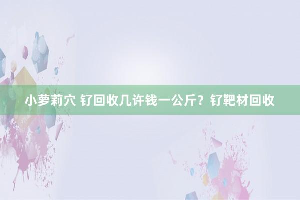 小萝莉穴 钌回收几许钱一公斤？钌靶材回收