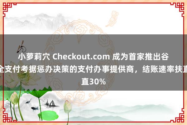 小萝莉穴 Checkout.com 成为首家推出谷歌安全支付考据惩办决策的支付办事提供商，结账速率扶直30%