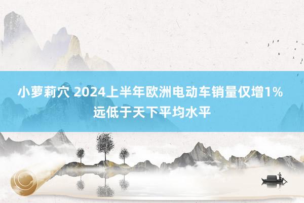 小萝莉穴 2024上半年欧洲电动车销量仅增1% 远低于天下平均水平