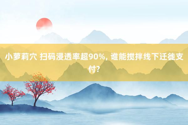 小萝莉穴 扫码浸透率超90%， 谁能搅拌线下迁徙支付?