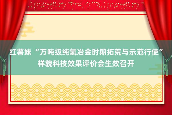 红薯妹 “万吨级纯氢冶金时期拓荒与示范行使”样貌科技效果评价会生效召开