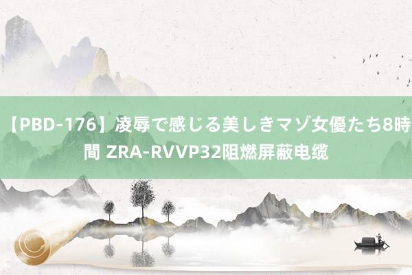 【PBD-176】凌辱で感じる美しきマゾ女優たち8時間 ZRA-RVVP32阻燃屏蔽电缆