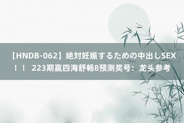 【HNDB-062】絶対妊娠するための中出しSEX！！ 223期赢四海舒畅8预测奖号：龙头参考