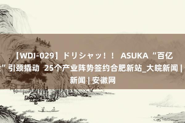 【WDI-029】ドリシャッ！！ ASUKA “百亿母基金”引颈撬动  25个产业阵势签约合肥新站_大皖新闻 | 安徽网