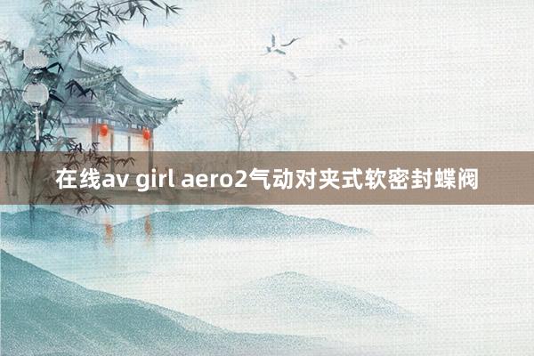 在线av girl aero2气动对夹式软密封蝶阀