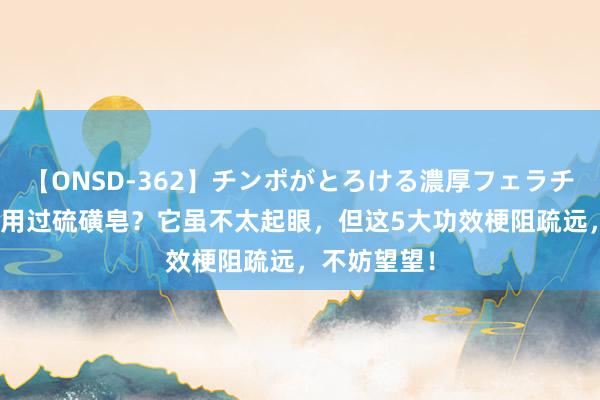 【ONSD-362】チンポがとろける濃厚フェラチオ4時間 你用过硫磺皂？它虽不太起眼，但这5大功效梗阻疏远，不妨望望！