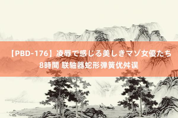 【PBD-176】凌辱で感じる美しきマゾ女優たち8時間 联轴器蛇形弹簧优舛误