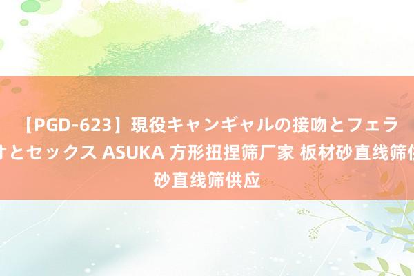 【PGD-623】現役キャンギャルの接吻とフェラチオとセックス ASUKA 方形扭捏筛厂家 板材砂直线筛供应