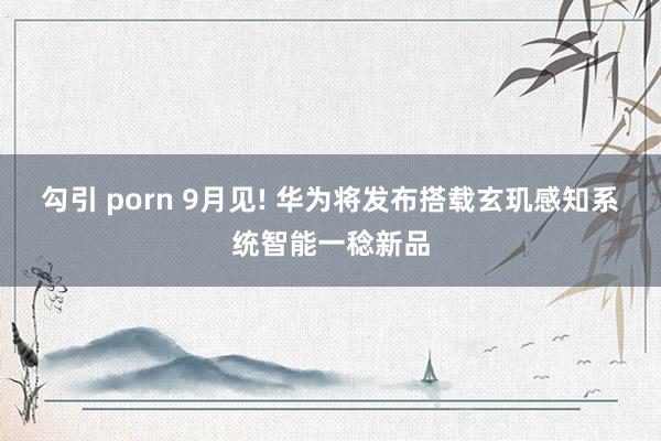 勾引 porn 9月见! 华为将发布搭载玄玑感知系统智能一稔新品