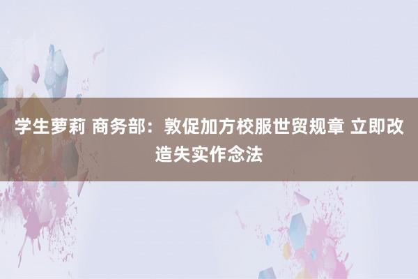 学生萝莉 商务部：敦促加方校服世贸规章 立即改造失实作念法