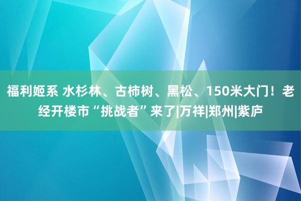 福利姬系 水杉林、古柿树、黑松、150米大门！老经开楼市“挑战者”来了|万祥|郑州|紫庐