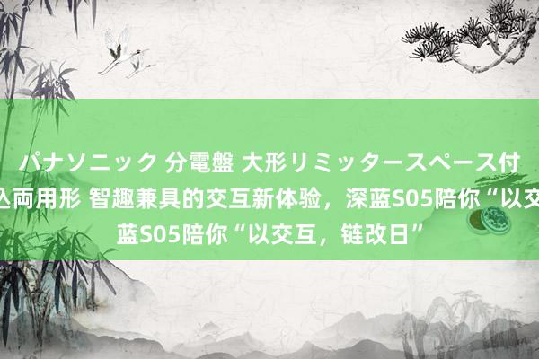 パナソニック 分電盤 大形リミッタースペース付 露出・半埋込両用形 智趣兼具的交互新体验，深蓝S05陪你“以交互，链改日”