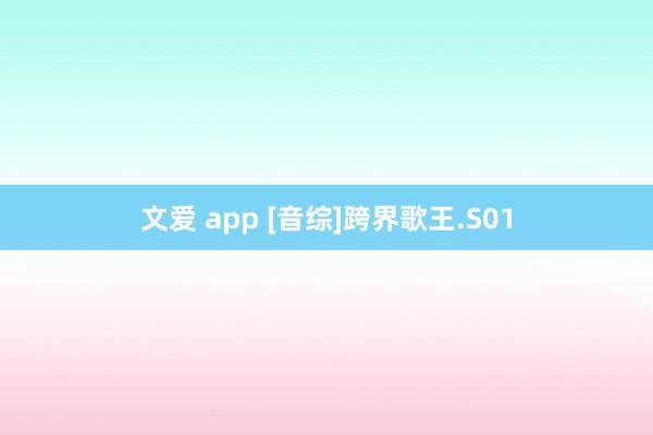 文爱 app [音综]跨界歌王.S01