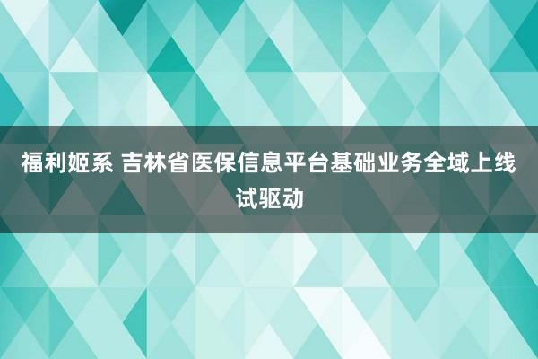 福利姬系 吉林省医保信息平台基础业务全域上线试驱动