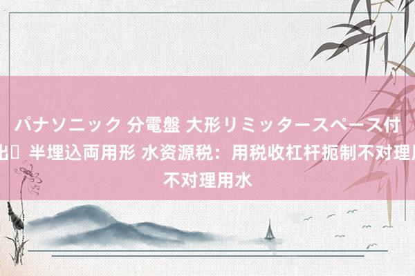 パナソニック 分電盤 大形リミッタースペース付 露出・半埋込両用形 水资源税：用税收杠杆扼制不对理用水