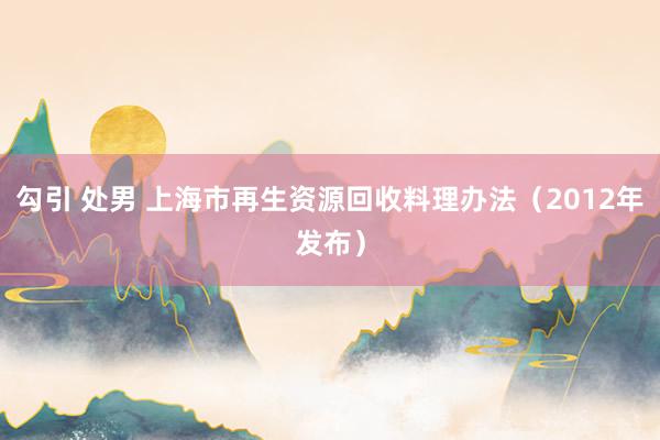 勾引 处男 上海市再生资源回收料理办法（2012年发布）