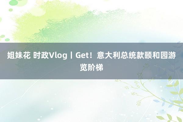 姐妹花 时政Vlog丨Get！意大利总统款颐和园游览阶梯